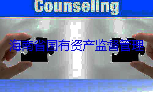 有福接受审资产监督管理委员会党委副书记王查调查海南省国有